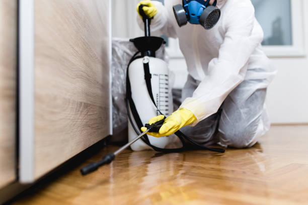 Best Cockroach Control Services  in Lecanto, FL
