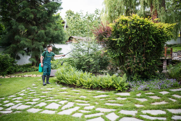 Best Affordable Pest Control Services  in Lecanto, FL