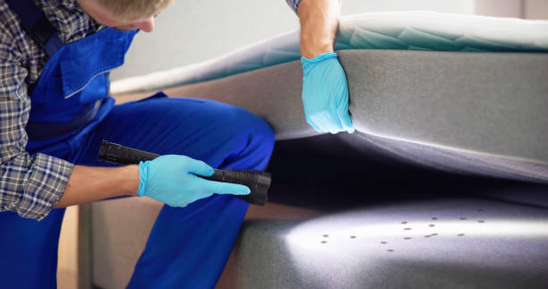 Best Flea Control Services  in Lecanto, FL
