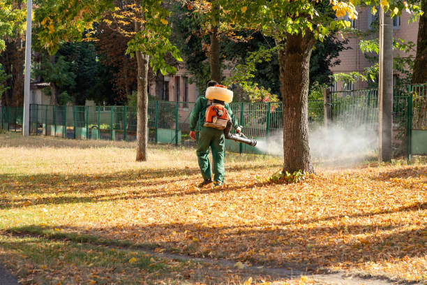 Best Best Pest Control Companies  in Lecanto, FL