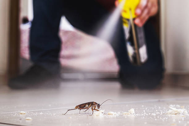 Best Pest Control Treatment  in Lecanto, FL
