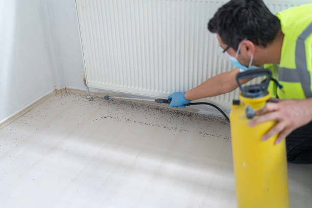 Best Pest Control Near Me in Lecanto, FL