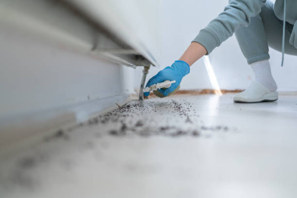 Best Mosquito Control Services  in Lecanto, FL