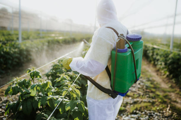 Reliable Lecanto, FL Pest Control Solutions